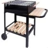 Barbecue Au Charbon De Bois Portable Aktive Double Grill -Camping Produits Boutique barbecue au charbon de bois portable aktive double grill