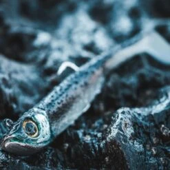 COMBO Leurres Souples Shad Texan ANCHO 120 50g Dos Noir/dos Blanc Pêche En Mer -Camping Produits Boutique combo leurres souples shad texan ancho 120 50g dos noirdos blanc peche en mer 3