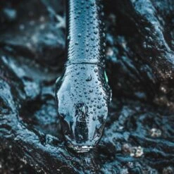 COMBO Leurres Souples Shad Texan ANCHO 120 50g Dos Noir/dos Blanc Pêche En Mer -Camping Produits Boutique combo leurres souples shad texan ancho 120 50g dos noirdos blanc peche en mer 4