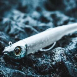 COMBO Leurres Souples Shad Texan ANCHO 120 50g Dos Noir/dos Blanc Pêche En Mer -Camping Produits Boutique combo leurres souples shad texan ancho 120 50g dos noirdos blanc peche en mer 5