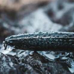 Poisson Nageur SAXTON 110F Mack Vert Pêche Au Leurre En Mer -Camping Produits Boutique poisson nageur saxton 110f mack vert peche au leurre en mer 7