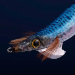 Turlutte Coulante Shallow EBIKA 3.0/120 Bleu Sardine Pêche Des Seiches/calamars 9 Turlutte Coulante Shallow EBIKA 3.0/120 Bleu Sardine Pêche Des Seiches/calamars -Camping Produits Boutique turlutte coulante shallow ebika 30120 bleu sardine peche des seichescalamars 2