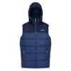 Regatta Veste Sans Manches NEVADO Homme (Bleu Marine / Bleu Amiral)
